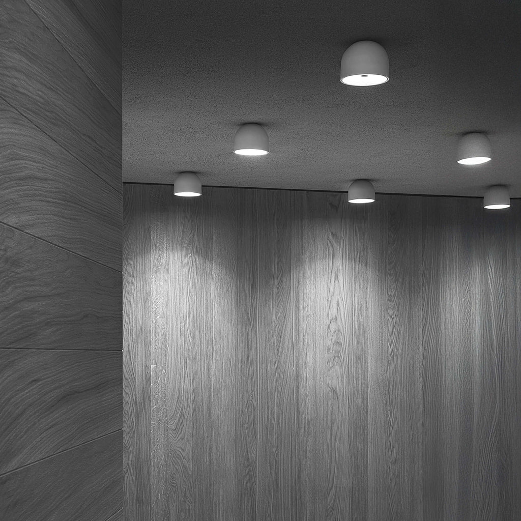 Flos Wan Ceiling Light