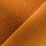 Gentle Apricot