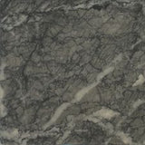 Gloss Grigio Carnico Marble