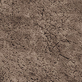 Sahara