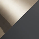 Matt black with black chrome shade
