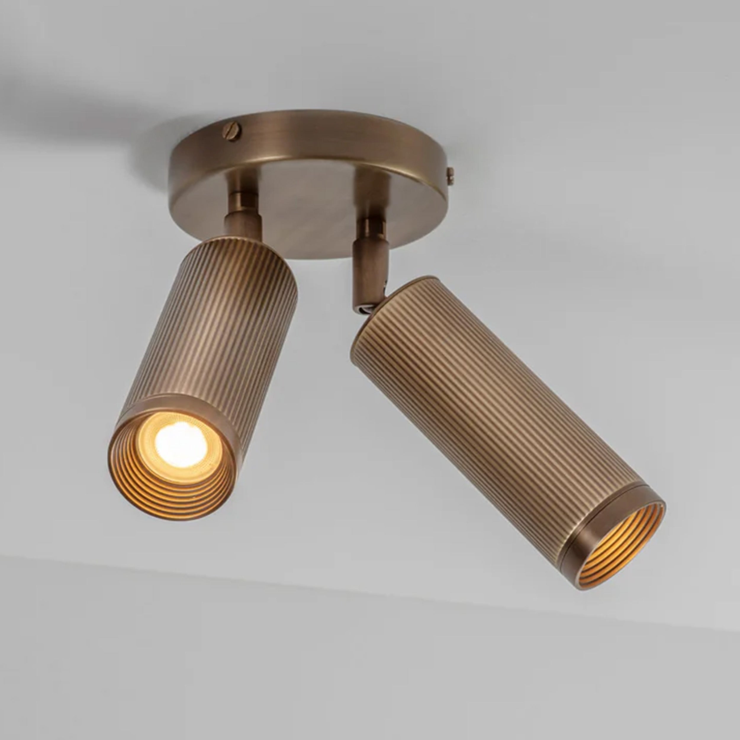 J. Adams Spot Ceiling Light - Double