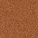 Premium Leather Cognac