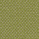 Credo Sand Avacado