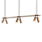 J. Adams Spot Pendant System on a Drop Rod