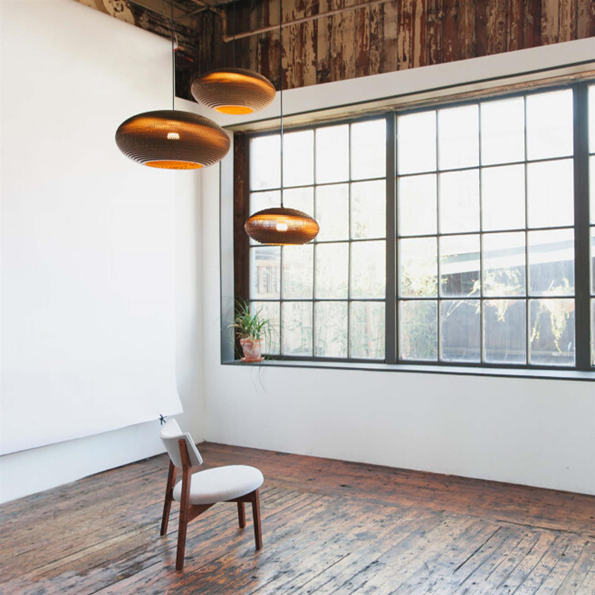 Graypants Disc Pendant Light
