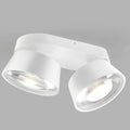 Light Point Vantage Double Ceiling Light