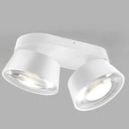 Light Point Vantage Double Ceiling Light