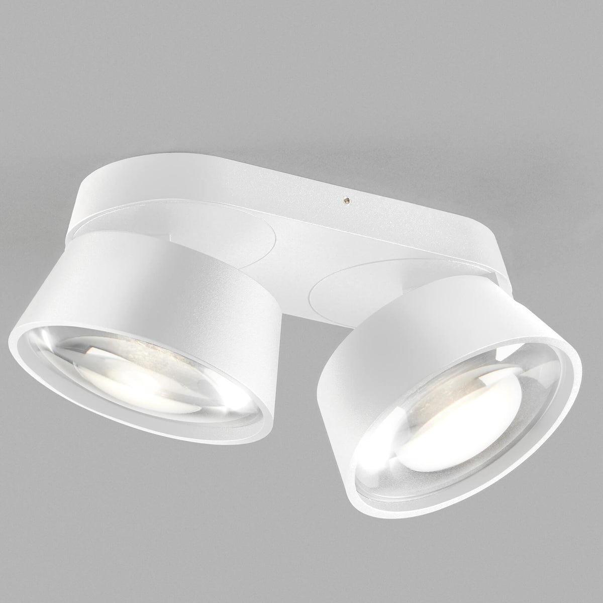 Light Point Vantage Double Ceiling Light