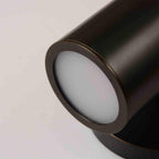 Jimmy Raiden Cameron Adjustable Flushmount Ceiling Light