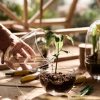 Design House Stockholm Grow Greenhouse