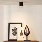 Lucide Bodi Ceiling Spotlight
