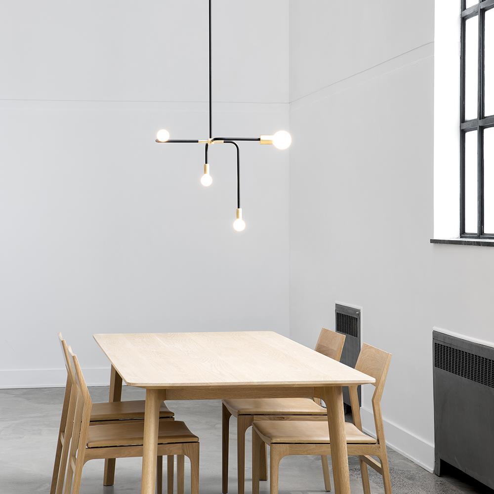 Beaubien suspension