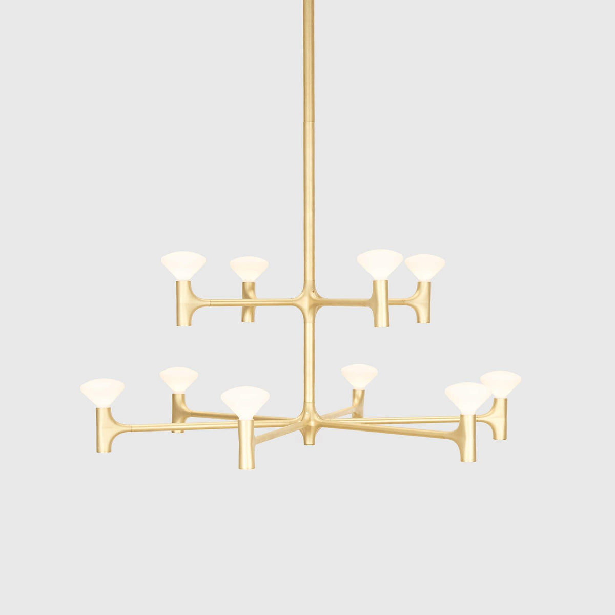 Tala Root Chandelier