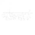 Moooi Heracleum III Endless Pendant Light