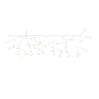 Moooi Heracleum III Endless Pendant Light