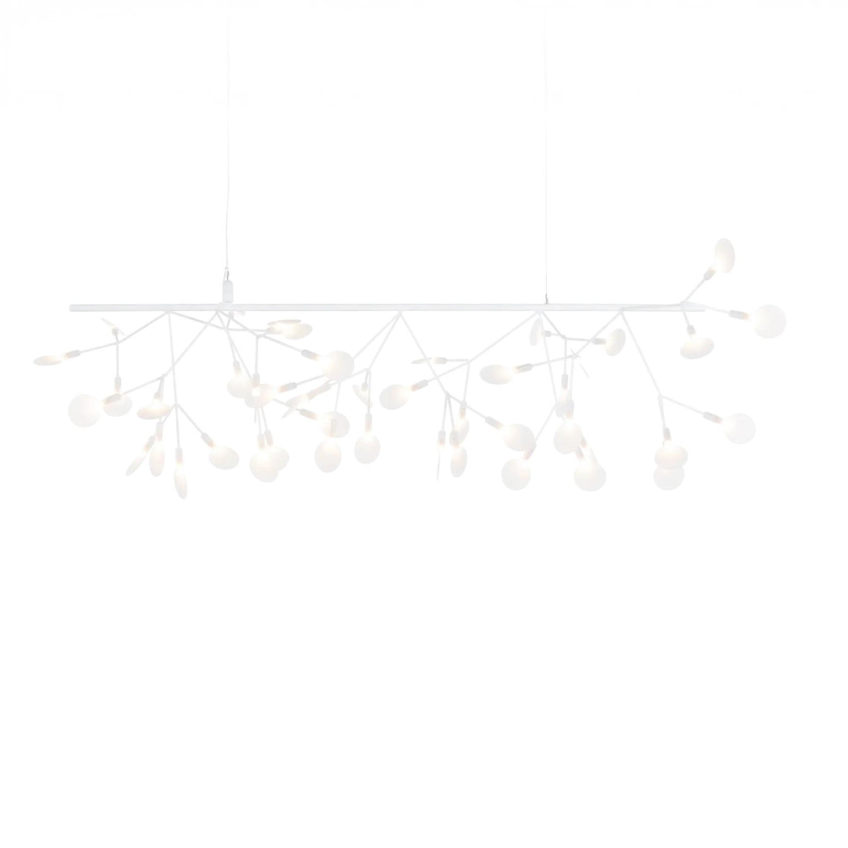 Moooi Heracleum III Endless Pendant Light