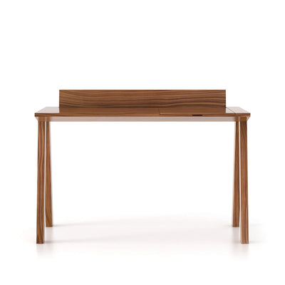 Punt Ernest Desk