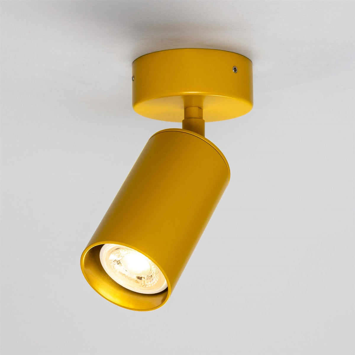 Mullan Lighting Evanston Directional Brass Ceiling Spotlight