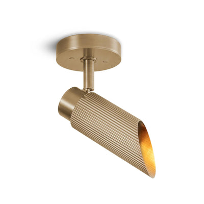J. Adams Spot Pro Ceiling Light