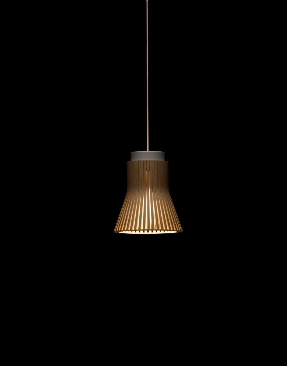 Secto Design Petite Pendant Light