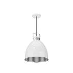 Jielde Medium Augustin Pendant Light - Gloss