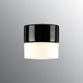 Old School Electric Opus 100 Wall or Ceiling Bathroom Light