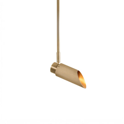 J. Adams Spot Pro Ceiling Light on Rod