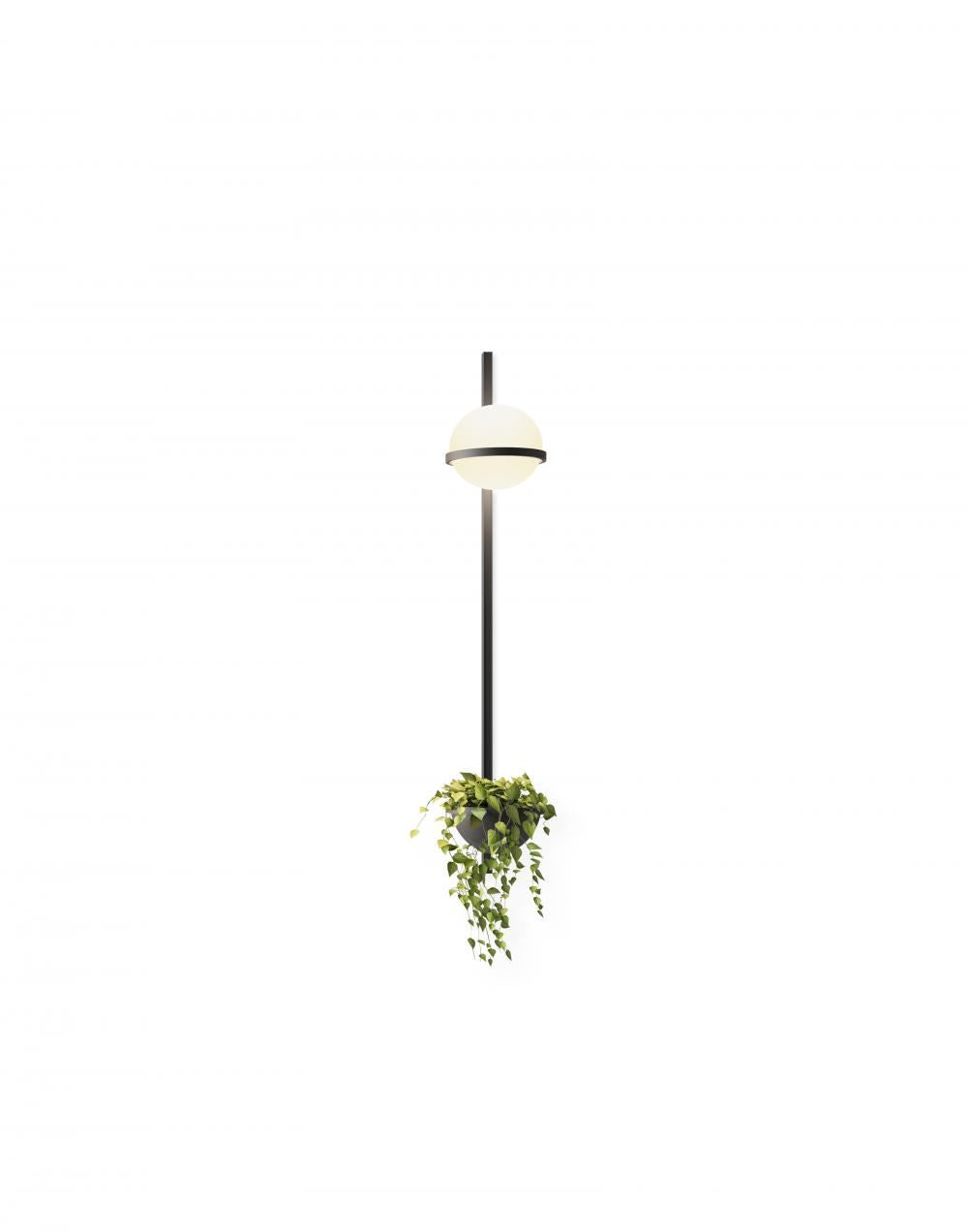 Vibia Palma Wall Light