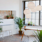 Graypants Moon Pendant Light