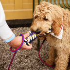 HAY Dogs Rope Toy