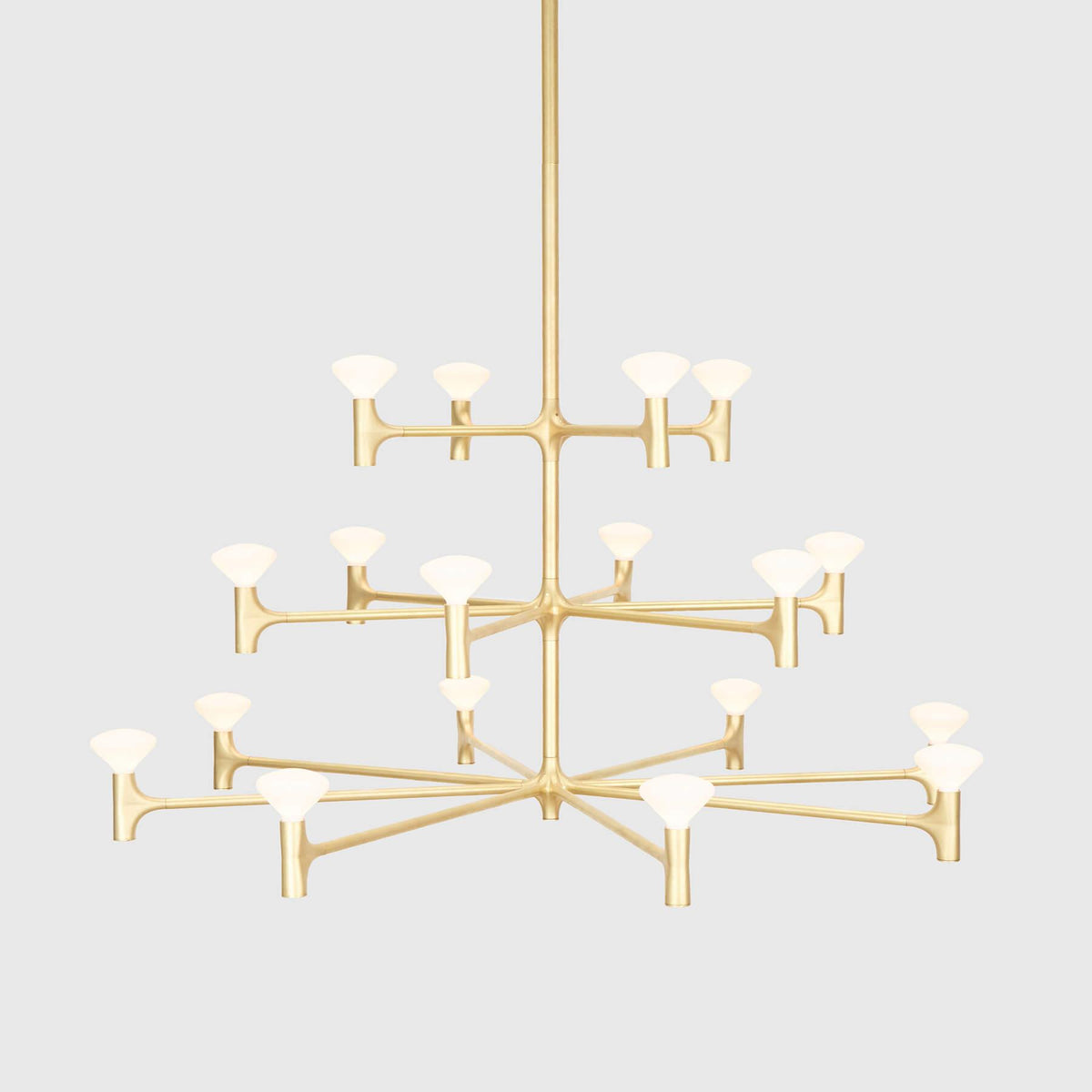 Tala Root Chandelier