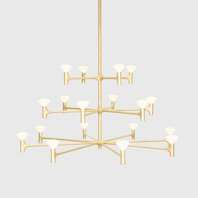 Tala Root Chandelier