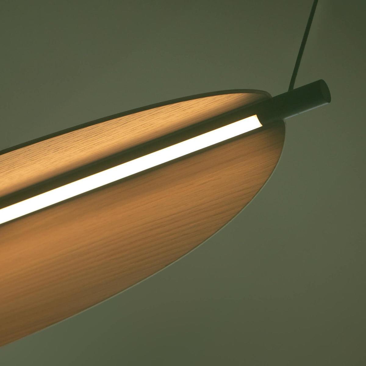 TOOY Thula Pendant Light, Medium