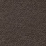 Brown Leather
