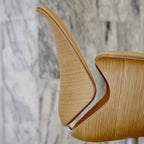 OneCollection Council Chair