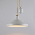 Davey Rise & fall School Pendant Light