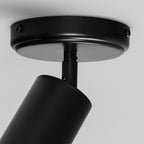 Mullan Lighting Evanston Directional Brass Ceiling Spotlight