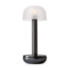 Two Portable Rechargeable Lamp