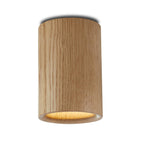 Terence Woodgate Solid Downlight, Cylinder
