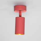 Mullan Lighting Evanston Directional Brass Ceiling Spotlight