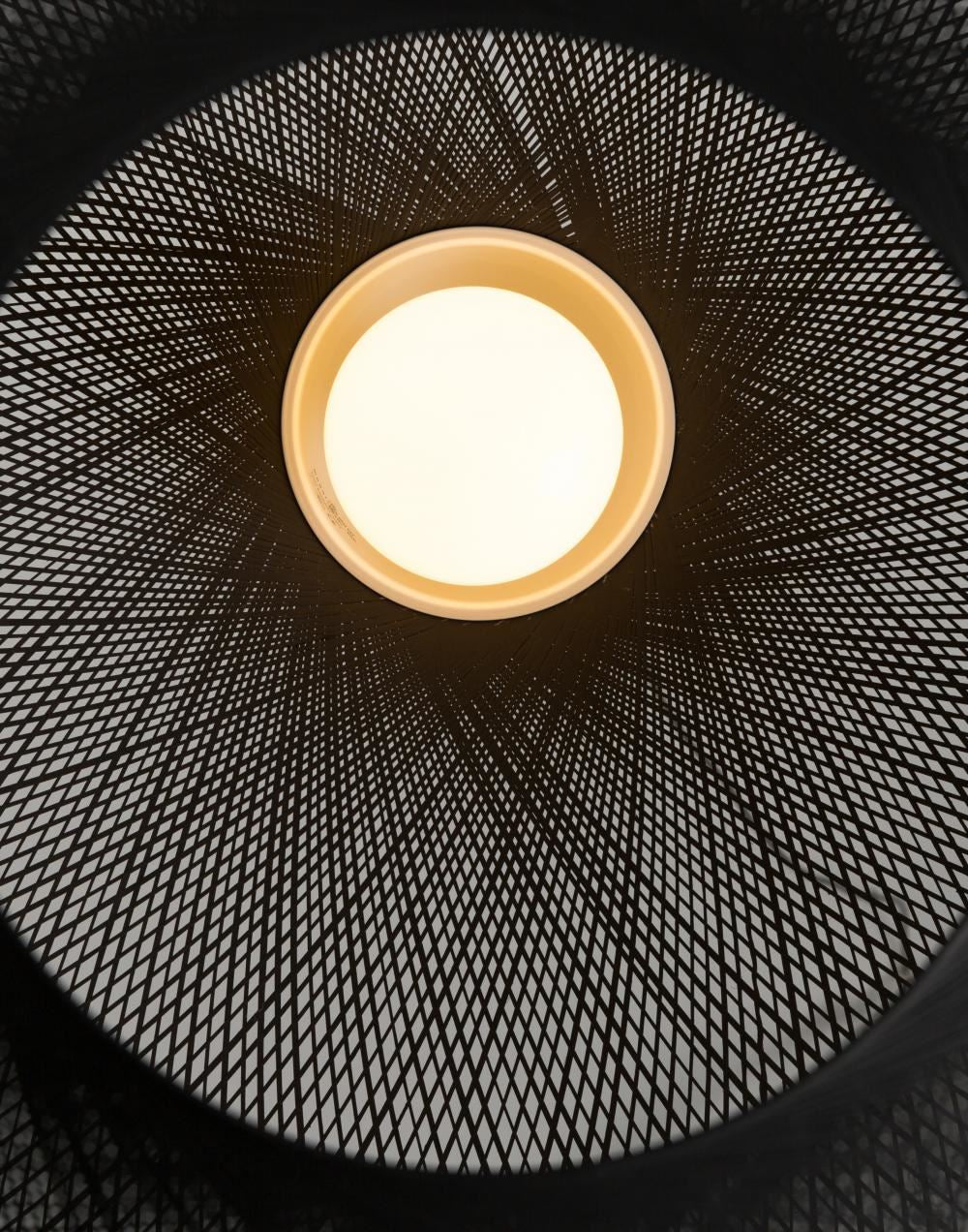 Moooi Non Random Pendant Light