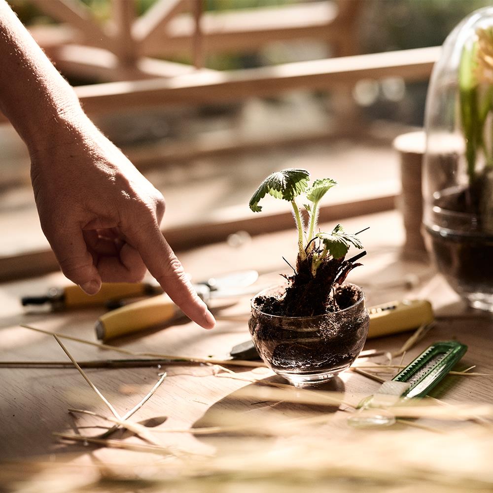Design House Stockholm Grow Greenhouse