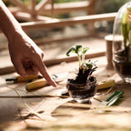 Design House Stockholm Grow Greenhouse