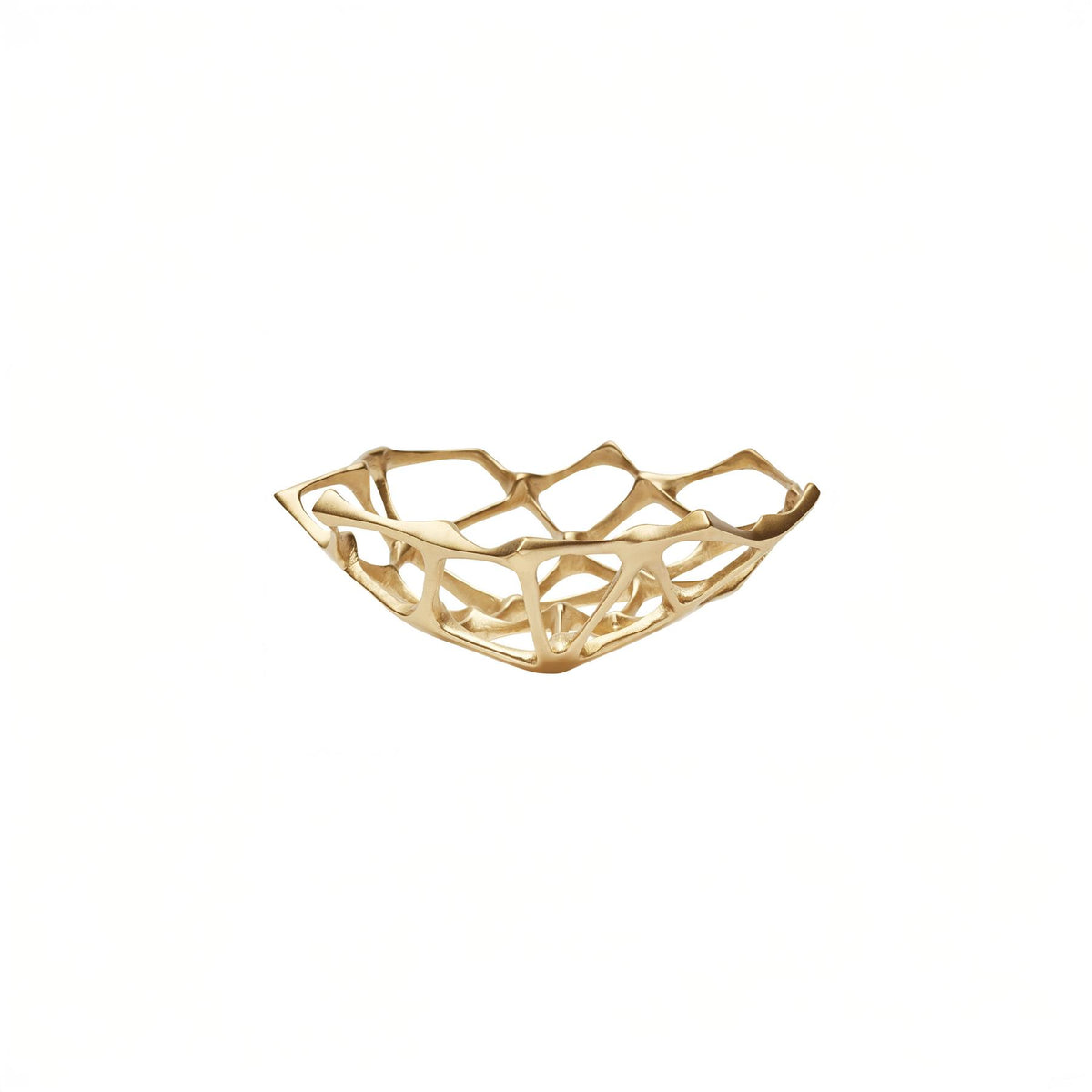 Tom Dixon Bone Bowl