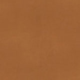 Cognac leather