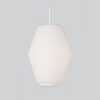 Northern Dahl Pendant Light