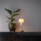 Two Portable Rechargeable Lamp with Linen Shade