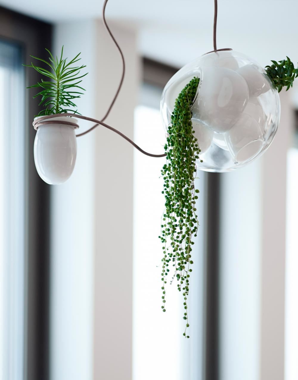 Bocci Series 38 Pendant Light 3 Pieces