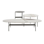 B&B Italia Formiche Table